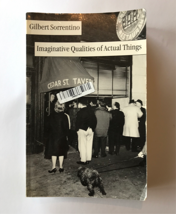 Sorrentino, Gilbert - Imaginative Qualities of Actual Things